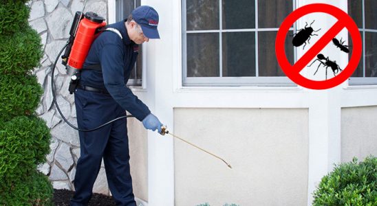 Abana Uçan Haşere İlaçlama böcek ilaçlama ve haşere kontrolü — ilaclama-tr.com